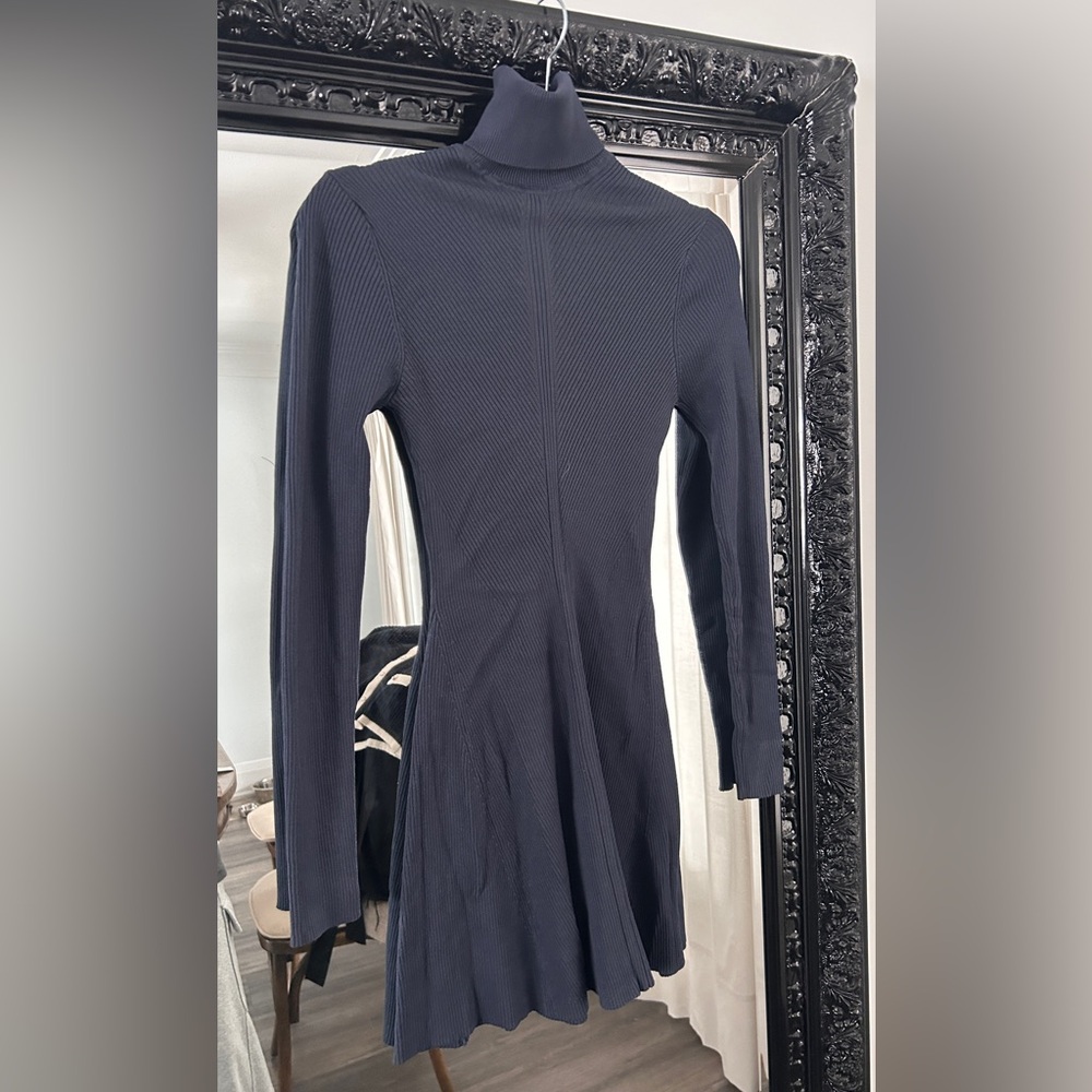 Zara Navy Turtleneck Dress
